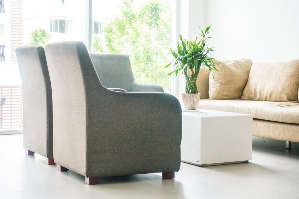 sofas modernos con mesa blanca y planta interior